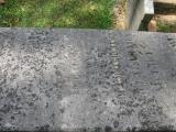 image of grave number 424553
